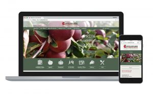 website for Curtis Orchard
